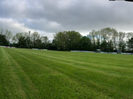 Auch unsere Plätze sind bereit für die Rückkehr des Fußballs und erstrahlen in saftigem Grün. FCL-Bild: Florian Harberts
