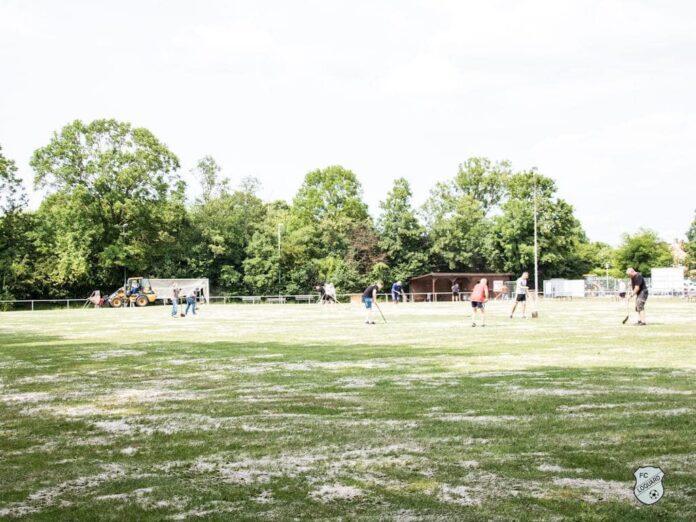 Rund 20 Helfer aus verschiedenen FCL-Sparten sorgten am gestrigen Freitag dafür, dass 50 Tonnen Sand auf dem A-Platz unserer Artmann Arena verteilt wurden, sodass auch das Loquarder Geläuf am kommenden Ostfriesland-Cup-Montag eben diesem Rahmen gerecht wird. FCL-Bild: Reiner Poets